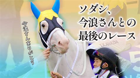 ユルークうーま On Twitter 【ソダシ、今浪さんとの最後のレース】 本日615、18時に公開します。 是非ご覧ください