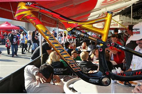 slickest custom paint jobs  mountain biking