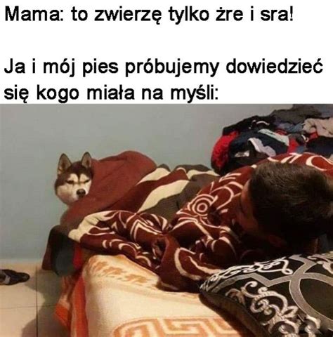 Smiesznosci pl Ubiór na grzyby D