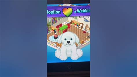 Snowy Retriever Puppy Webkinz Adoption Free Webkinz Adoption Youtube