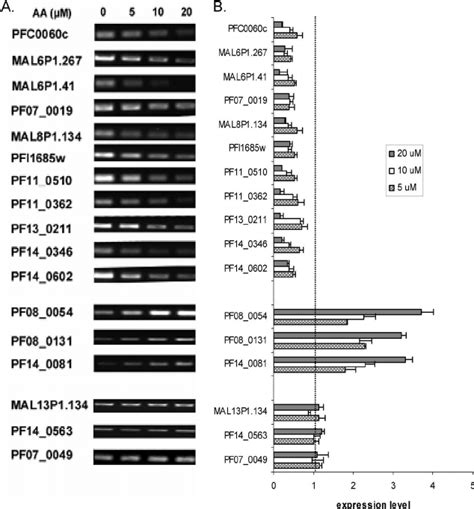 Rt Pcr Analysis Of Gene Expression To Validate Results Of The