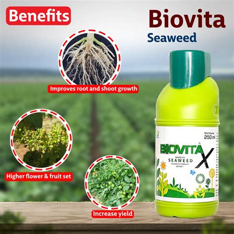 Biovita Liquid Seaweed Extract Fertilizer 1 Ltr At Rs 900 Litre