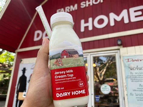 รีวิว Dairy Home Jersey Milk Cream Top 🥛