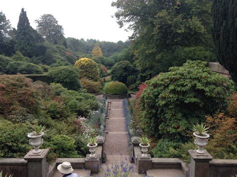 National Trust Scones: Biddulph Grange Garden