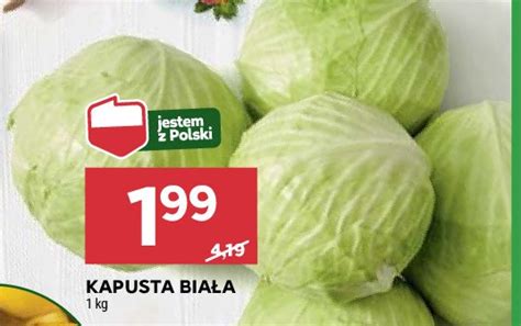 Kapusta biała cena promocje opinie sklep Blix pl