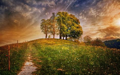 Sunlight Trees Landscape Sunset Hill Nature Building Grass Sky