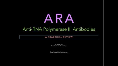 Ara Anti Rna Polymerase Iii Antibodies A Practical Review Youtube