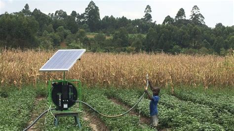 Sf Sales In Kenya Futurepump Solar Irrigation