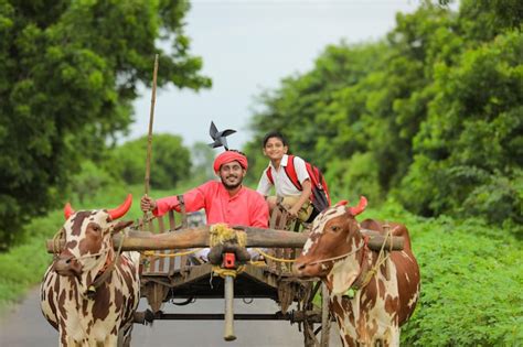 Premium Photo | Indian farmer on bull cart