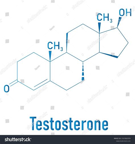 Testosterone Male Sex Hormone Androgen Molecule Stock Vector Royalty Free 2107862978