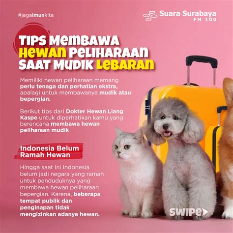 Tips Membawa Hewan Peliharaan Saat Mudik Lebaran