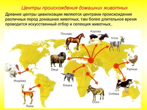 Глава IХ. Генетика и селекция. Одомашнивание как начальный этап ...