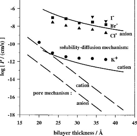 Figure From Permeation Of Halide Anions Through Phospholipid Bilayers