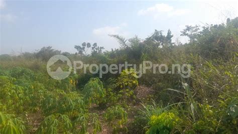 Land In Magboro Obafemi Owode Ogun Land For Sale In Obafemi Owode