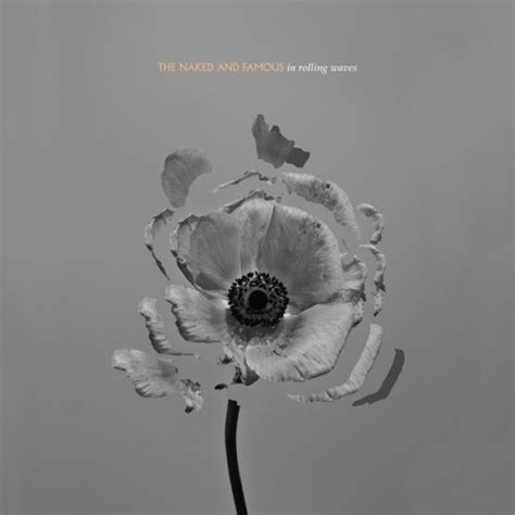 The Naked And Famous In Rolling Waves Reviews Album Of The Year