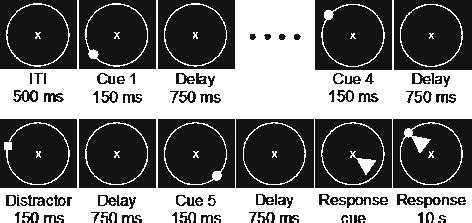 Schematic Diagram Showing An Example Of The Delayedresponse Task The