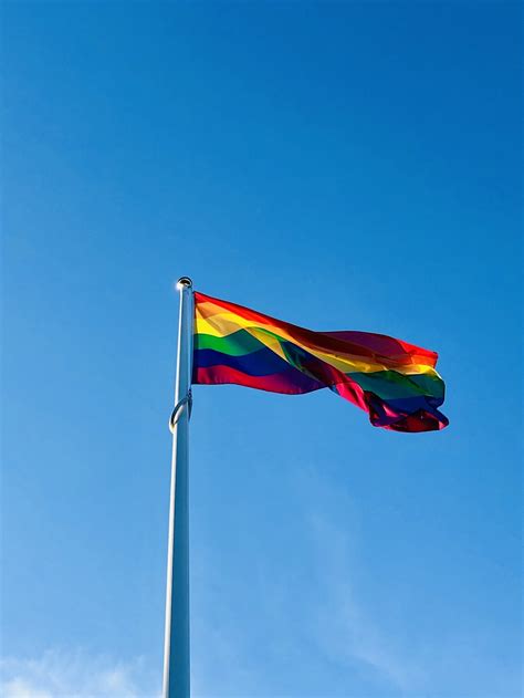 Imagen De Bandera Gay HD De Gay Originales Todo Fondos