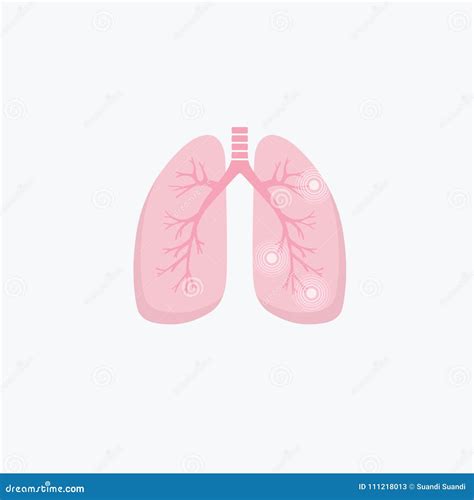 Human Lung Illness Anatomy Diagram Lung Cancer Asthma Tuberculosis