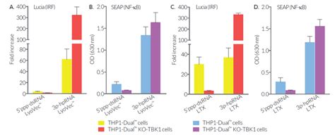 Thp Dual Ko Tbk Cells Nf B Ifn Reporter Monocytes Invivogen