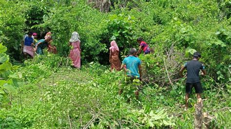 सूखे की मार झेल रहे पहाड़िया जनजाति के किसान इस तरह फंस जाते हैं कर्ज