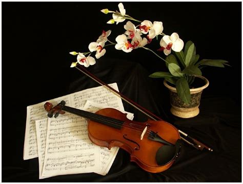 Violin and the note – South Bay Camera Club