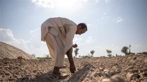 The Global Heat Wave Explained Concern Worldwide