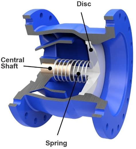 Which Nozzle Check Valve Design Should I Specify