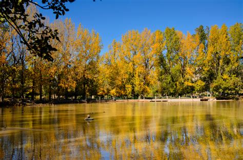 Ifrane National Park (Official GANP Park Page)