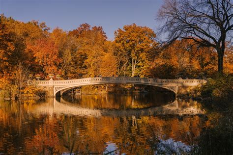 Arboriculture: Exploring its Definition and Scope — Chris Welch's ...