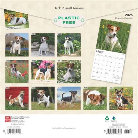 Calendario Jack Russell Terrier 2025 Comprar Encargar fácilmente