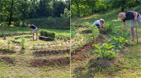 Why You Should Start A Mandala Garden and How To Build One