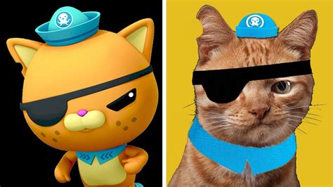 Octonauts Real Life