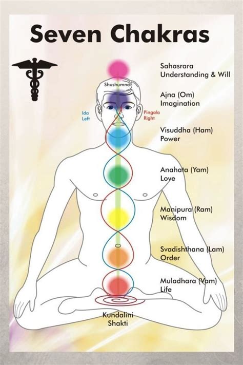 The Complete Guide To The 7 Chakras For Beginners Artofit