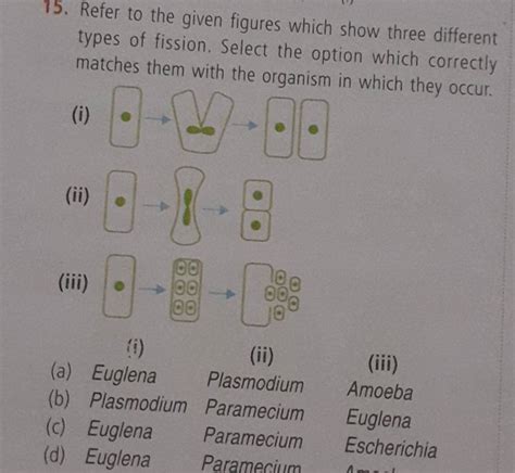 Refer To The Given Figures Which Show Three Different Types Of Fission S