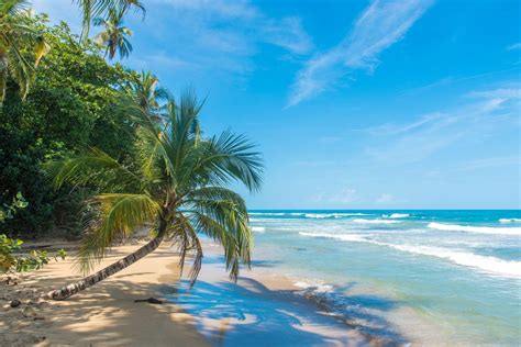 Playa Chiquita Costa Rica A Perfect Secret Hideaway Bookaway