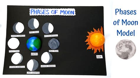 Phases Of Moon Model