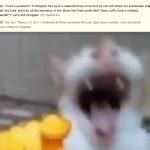 Cat pointing and laughing Blank Template - Imgflip