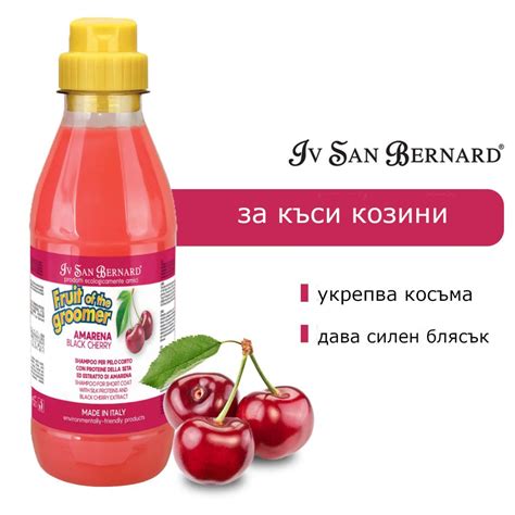 Iv San Bernard шампоан с черна череша за късокосмести кучета - Ние ...
