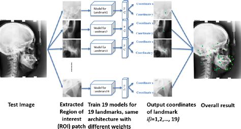 Figure 1 From Automatic Cephalometric Landmark Detection On X Ray