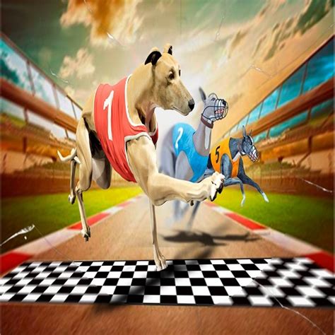 Crazy Dog Racing Game 2020: Play Crazy Dog Racing Game 2020 online for ...