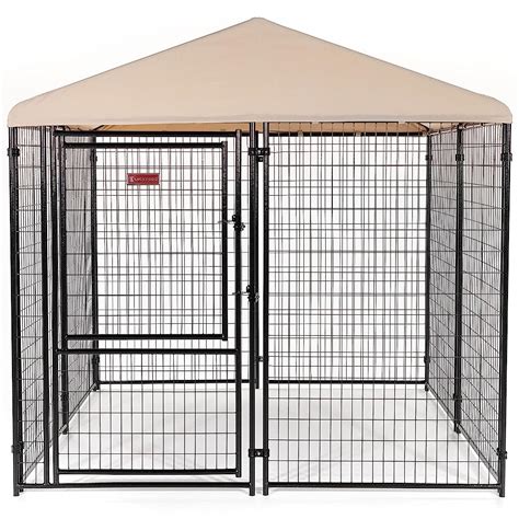 6 Best Outdoor Dog Kennels