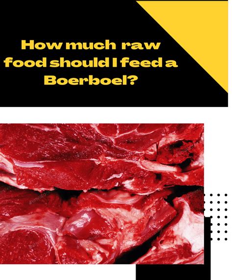 Unleashing the Power of Raw Meat