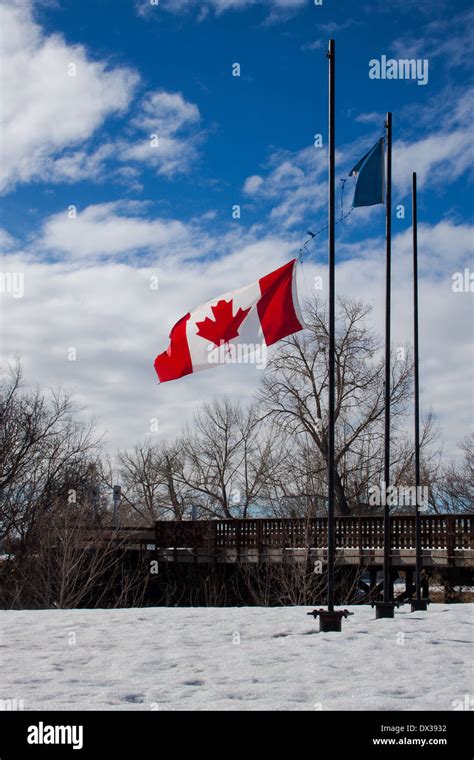 Canadian Flag at Half-Mast Stock Photo - Alamy