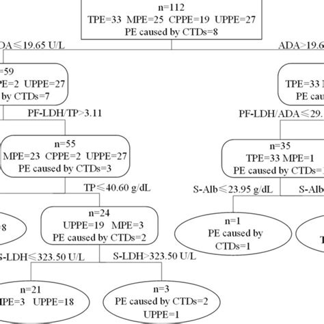 Differential Diagnosis Of The Five Types Of Pleural Effusion By Download Scientific Diagram