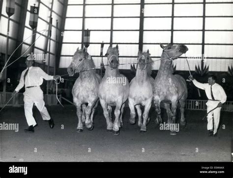 Mar. 12, 1962 - Four Ardennes Horses in Horse & Cattle Parade at Winter Circus Stock Photo - Alamy