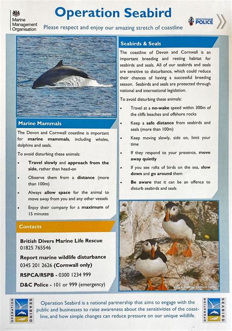 Wildlife on the Estuary - Dart Harbour