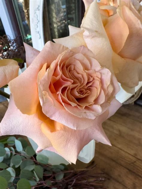 How To Make A Creative Flower Vase Using Sliced Citrus