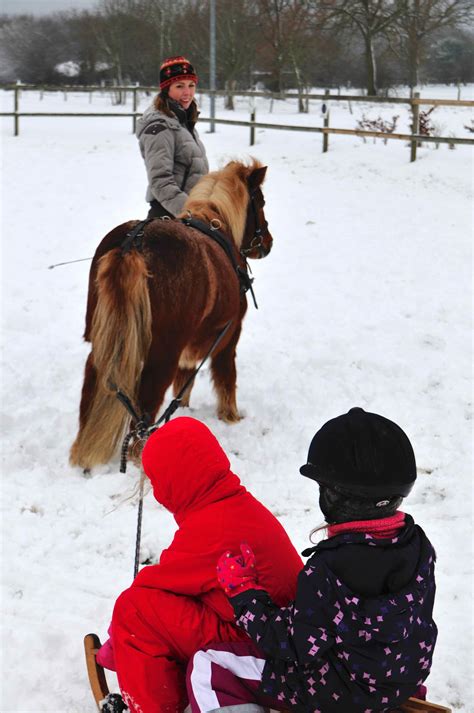 Schlittenfahren Mit Den Ponys Das Beste Am Winter Schlittenfahren