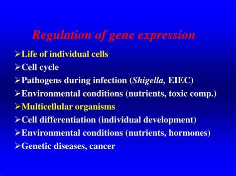 Ppt Regulation Of Gene Expression Powerpoint Presentation Free Download Id5362466