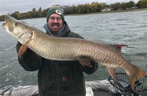 5125 Inch Muskie On Vermilion In Minnesota On 10072018 Muskiefirst